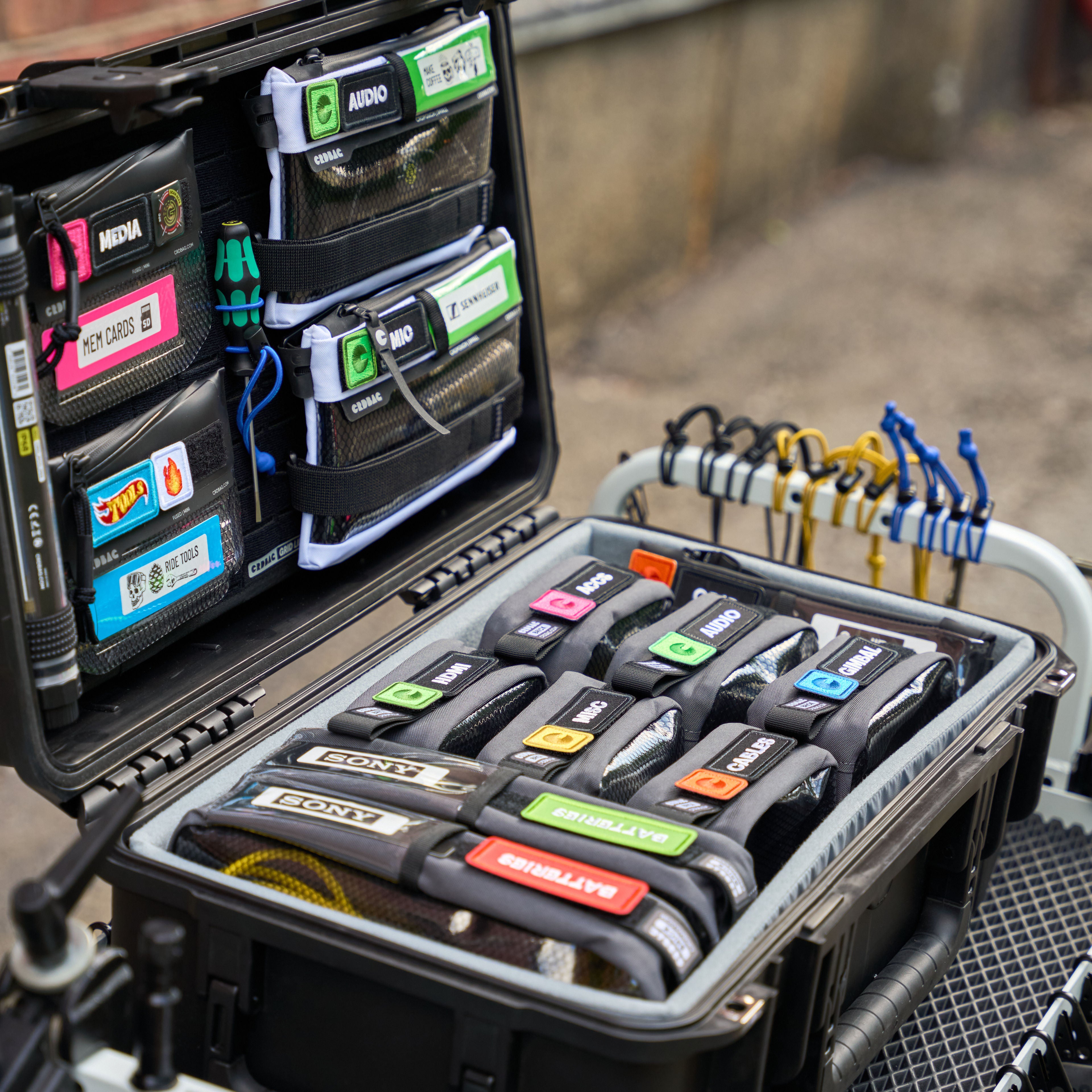 Everyday Trio Bundle